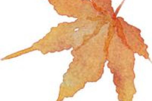 月刃格女性与其理想伴侣:命格搭配的深度解析 月刃格女性与其理想伴侣:命格搭配的深度解析