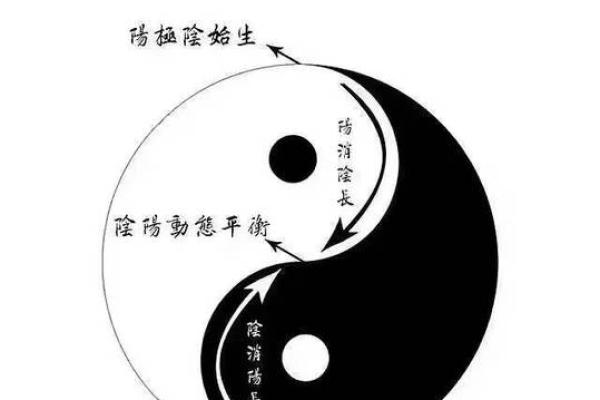 一九六九年命理解析:探索你的命运与生活机遇 一九六九年命理解析:探索你的命运与生活机遇