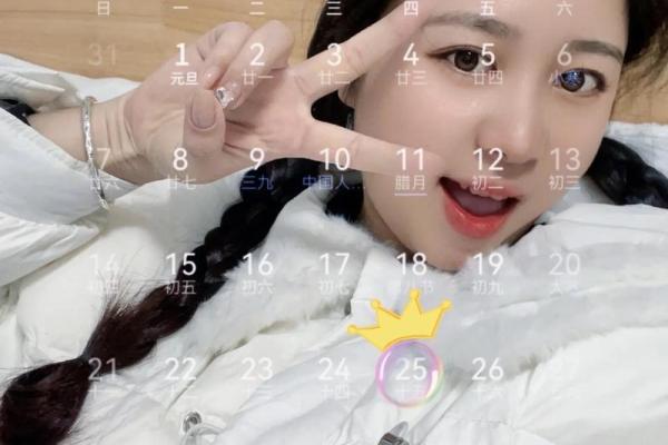 探索2013腊月28日出生的命运与人生轨迹 探索2013腊月28日出生的命运与人生轨迹