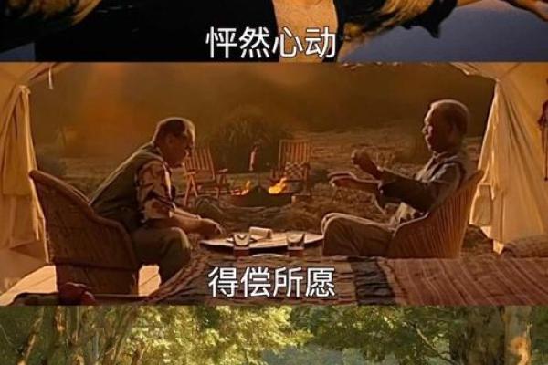 解密19900707出生者的命运与个性，探寻人生轨迹与幸福之道