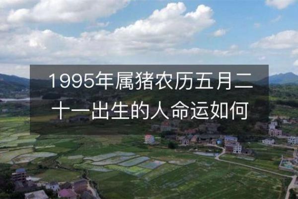 属猪的星座与命运解析:探索你的性格与运势 属猪的星座与命运解析:探索你的性格与运势