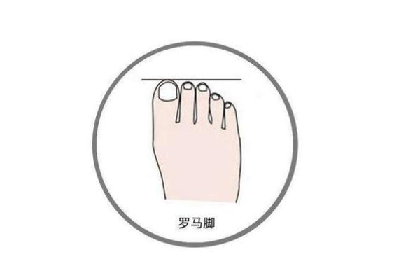 通过脚趾看你的人生命运,揭示你内心的秘密! 通过脚趾看你的人生命运,揭示你内心的秘密!