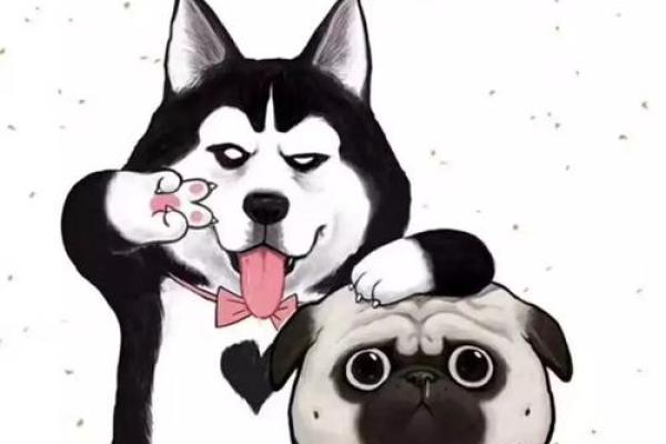 2018年属狗新年命理解析:如何把握机遇与挑战 2018年属狗新年命理解析:如何把握机遇与挑战