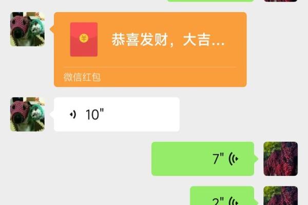 27岁狗狗的命运与幸福：爱与陪伴的故事