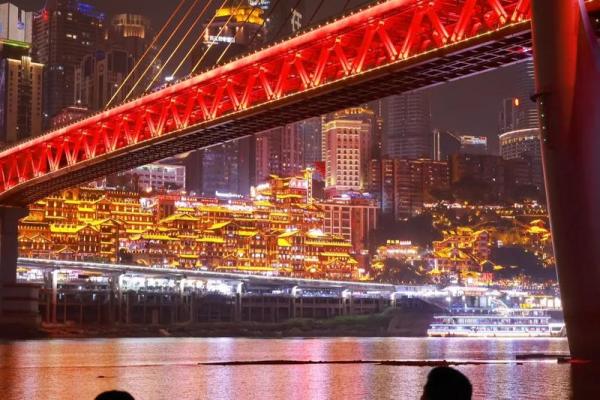 27岁狗狗的命运与幸福：爱与陪伴的故事