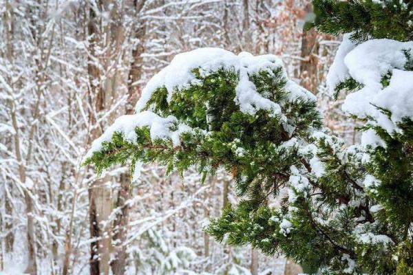 19980321出生的人：命运与性格的解析