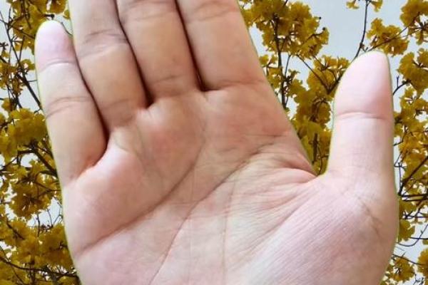 命由己作，运由心求——探求人生的智慧与选择