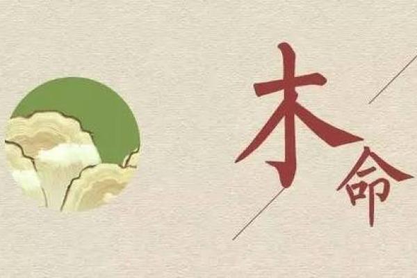 大林木命取名解析：如何让名字更五行平衡