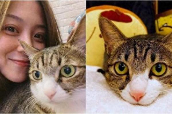 水命如何化解土命人的运势困扰，开启幸福之门！