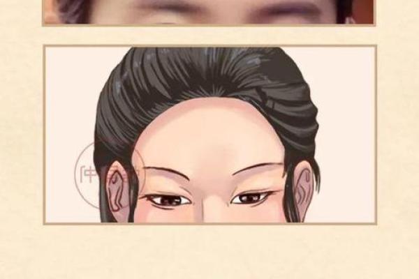 2014年马年运势解析：马命人的命运与人生轨迹探秘