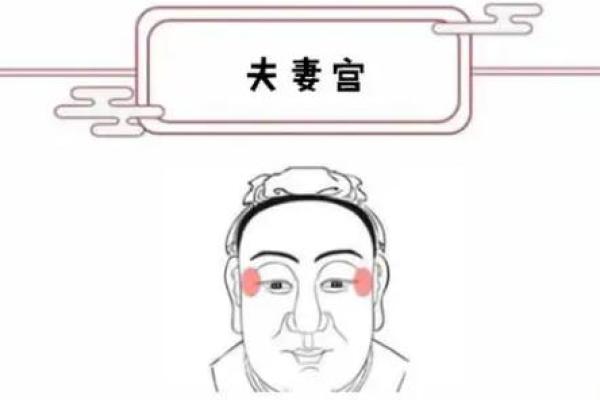 天府女命：最佳伴侣男命解析与选择指南