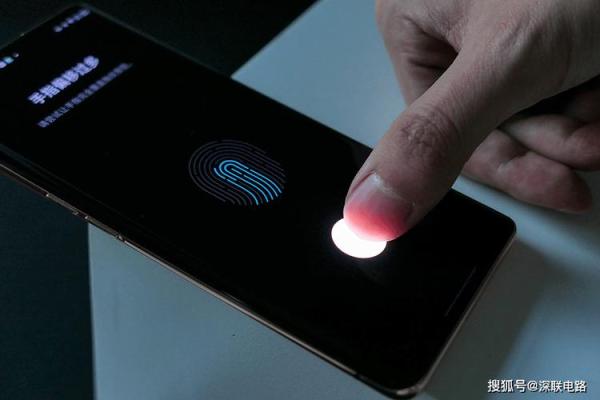 2004年属鸡人命理解析：聪明活泼的命运与未来展望