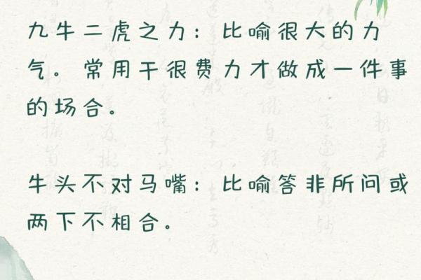 根据什么命什么始:探索成语背后的智慧与哲理 根据什么命什么始:探索成语背后的智慧与哲理