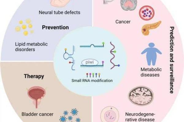 20001212命理解析：如何解读你的生命密码与运势挑战