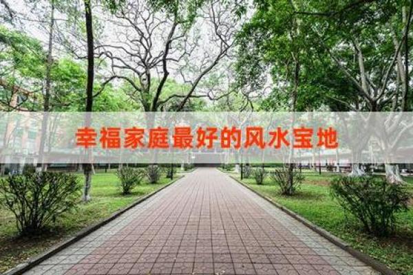 2012年出生的孩子，命中注定的幸福与挑战大揭秘！