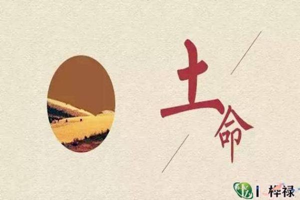 2007年土命人的命理解析与生活智慧