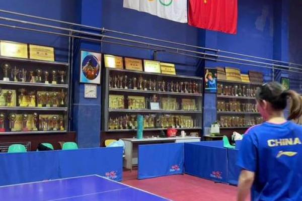 20010的命运解析：探索数字背后的深意与启示