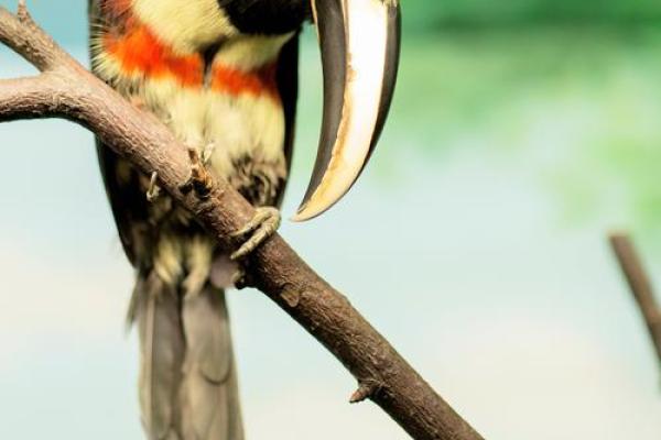 命好与命硬：人生轨迹中的两种选择与挑战