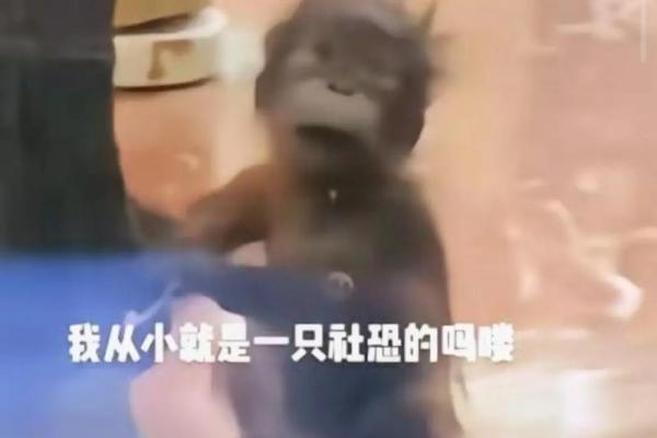 2002年马命揭秘：水命的特点与人生密码