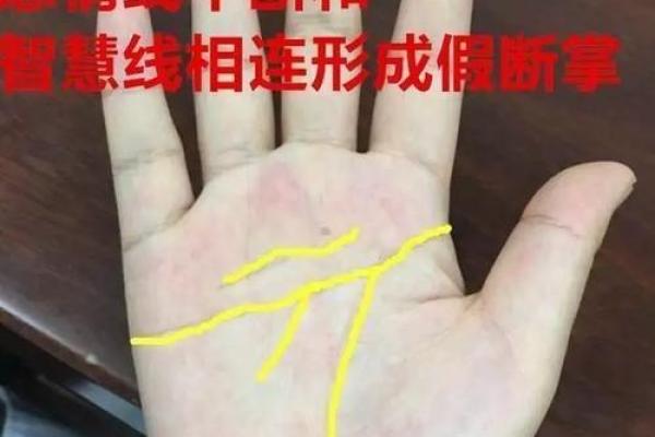 男人断掌命运解析:你不知道的神秘面纱 男人断掌命运解析:你不知道的神秘面纱