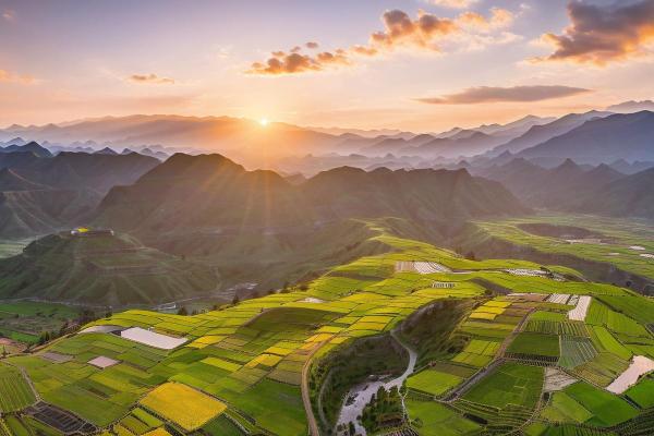 解密大林木命与土命:两种命理的独特魅力与启示 解密大林木命与土命:两种命理的独特魅力与启示