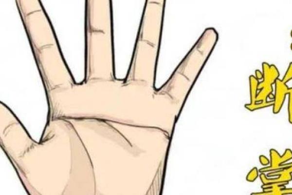 男人断掌命运解析:你不知道的神秘面纱 男人断掌命运解析:你不知道的神秘面纱