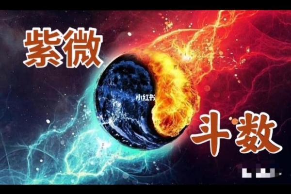 1942年出生的人：探索其命运与人生轨迹的奥秘