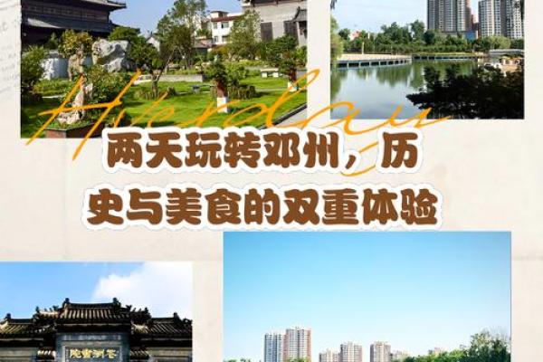 2003年属猪的命运解析:财富与幸福的双重体验 2003年属猪的命运解析:财富与幸福的双重体验