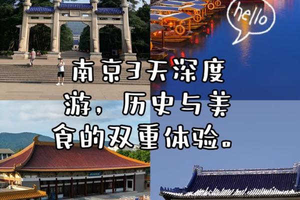 2003年属猪的命运解析:财富与幸福的双重体验 2003年属猪的命运解析:财富与幸福的双重体验