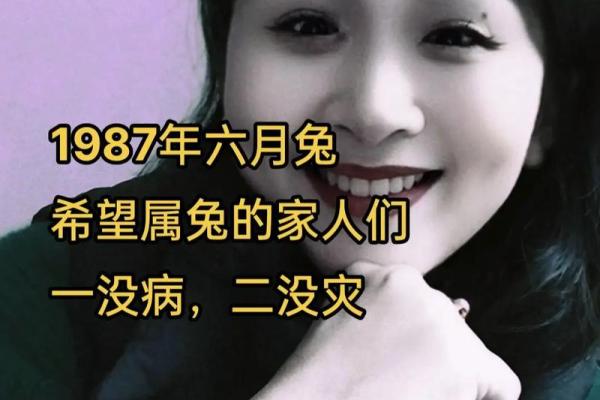 1987年属兔的人命运与性格解析：如何抓住人生机遇