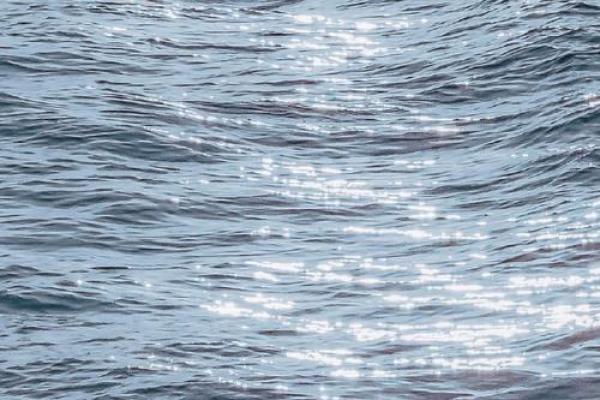 什么是大桃花命?解密命理中的魅力与吸引力! 什么是大桃花命?解密命理中的魅力与吸引力!