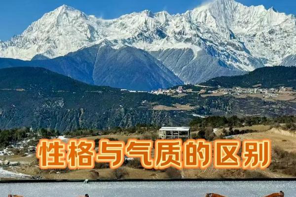 解密19991208出生者的命运与性格特征