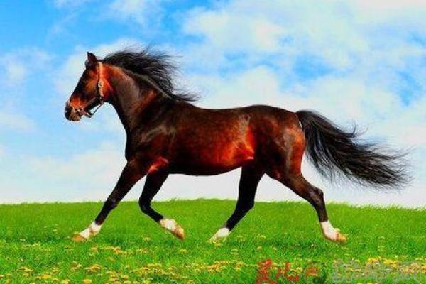 19860505出生的你,命运与运势的深度解析 19860505出生的你,命运与运势的深度解析