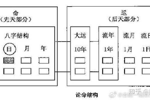 探索20020119的命理特征与人生启示