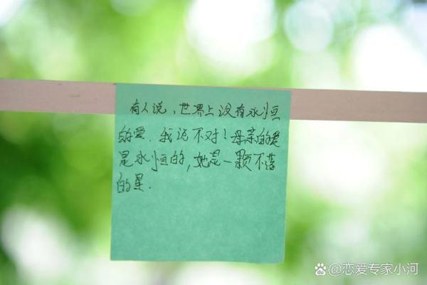 女命没真男命没假,探寻其中的深意与人生哲学 女命没真男命没假,探寻其中的深意与人生哲学