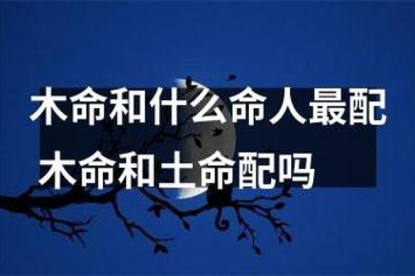 探秘五行相克:木命与土命之间的深刻含义与关系 探秘五行相克:木命与土命之间的深刻含义与关系