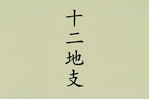 四丑三命:揭示男命中的命格奥秘与生活智慧 四丑三命:揭示男命中的命格奥秘与生活智慧