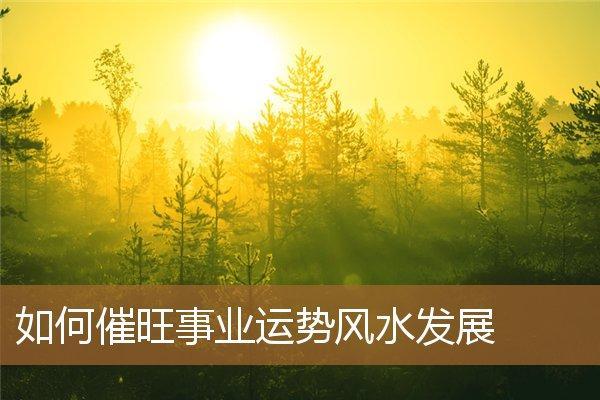 从命理角度探讨：什么样的女人最旺财，财富运势全解读！