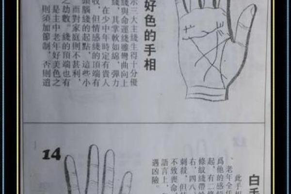 女金命适合找什么命的男，开启你的命理之旅！