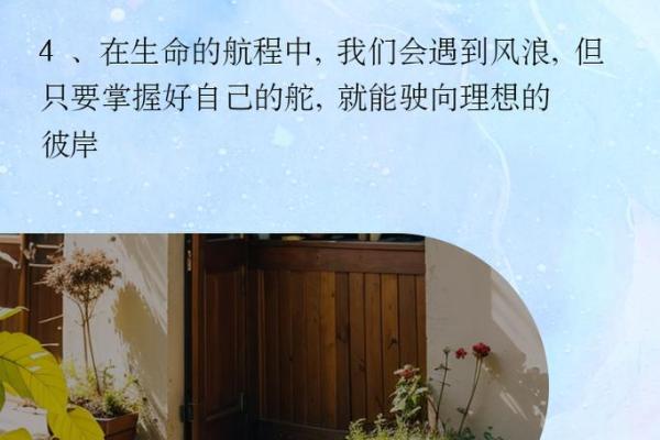 56岁属什么属相和命运解析，揭秘你的生命之旅！