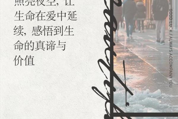 在追寻中绽放的生命之花:情绪与命运的交织之旅 在追寻中绽放的生命之花:情绪与命运的交织之旅