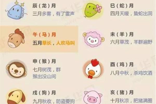 2016年是猴年，揭秘猴年出生人的命理与性格特征