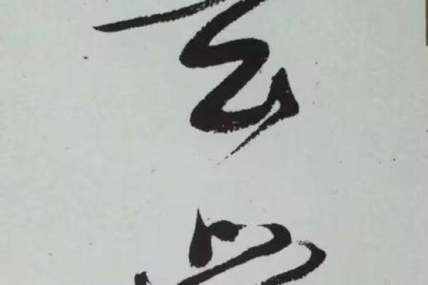 命由我定,生活掌握在自己手中 命由我定,生活掌握在自己手中