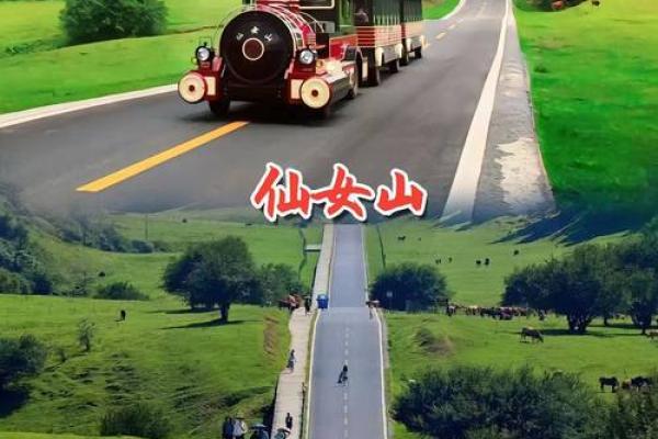 1990年出生的人命运解析：开启人生精彩旅程的钥匙