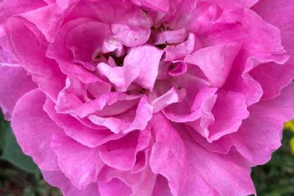 长流水命与商业成功的奇妙结合：如何运用五行提升事业!