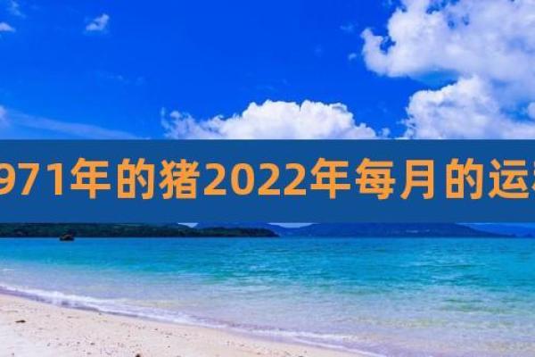 属猪的朋友，1971年出生的人生解析与运势展望