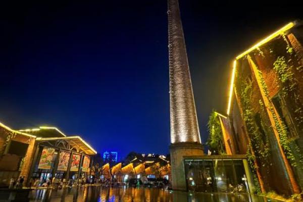 1992龙年：性格、命运和人生的探索之旅