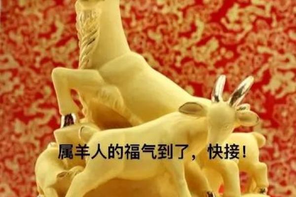 属羊的火命与其他命相合的最佳选择