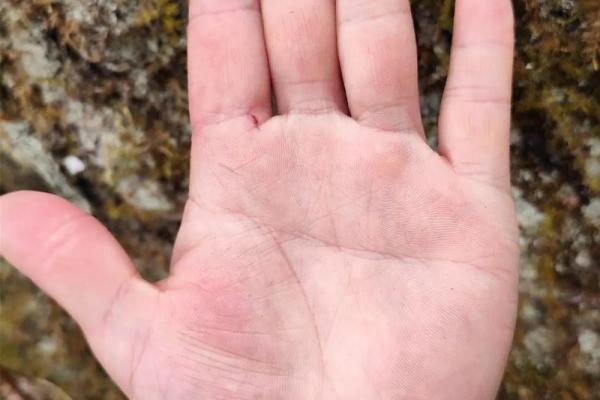 双手断掌女人的命运与性格揭秘:如何走出人生精彩篇章? 双手断掌女人的命运与性格揭秘:如何走出人生精彩篇章?