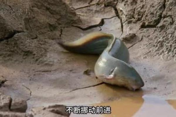 三尺微命：在平凡中寻求非凡的生命价值